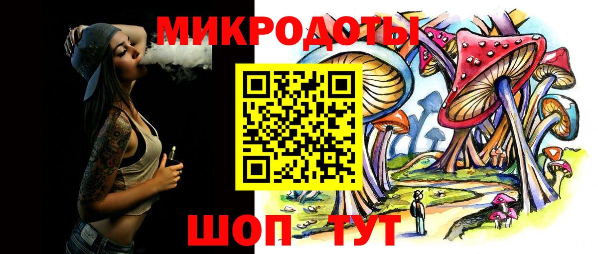 Тара  где купить наркоту  Вход с VPN  Галлюциногенные грибы Psilocybe 
