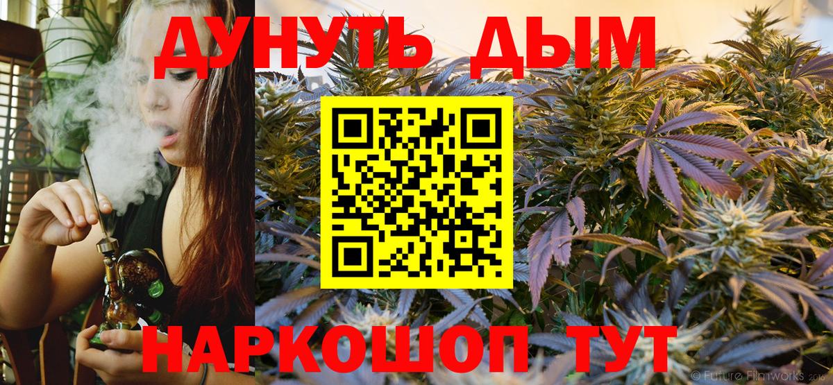 Бошки марихуана семена  МАРИХУАНА OG Kush  Вход с VPN  Бошки Шишки ГИДРОПОН  Конопля White Widow  Тара 